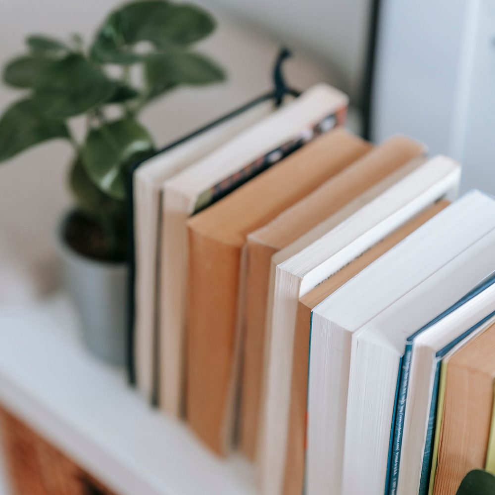 Curriculum books lined up on a white shelf beside a potted plant