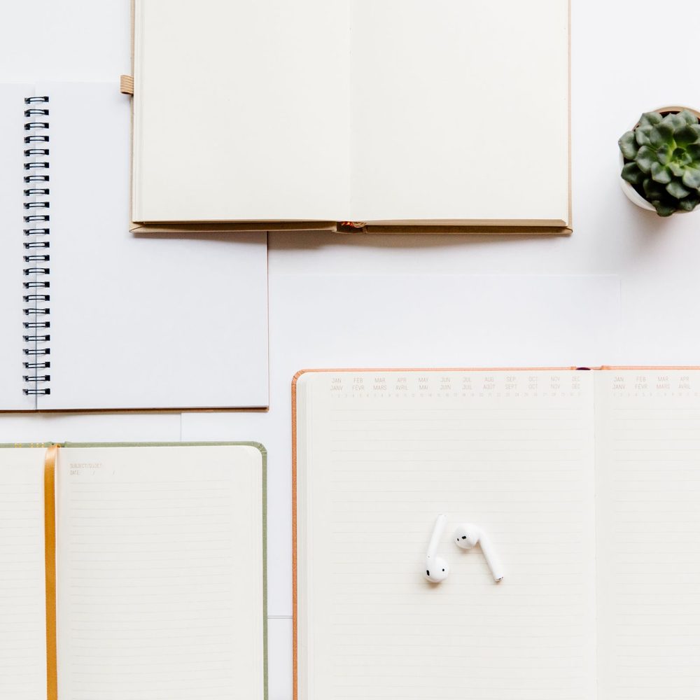 Open planners and a notebook arranged on a white desk beside a small succulent